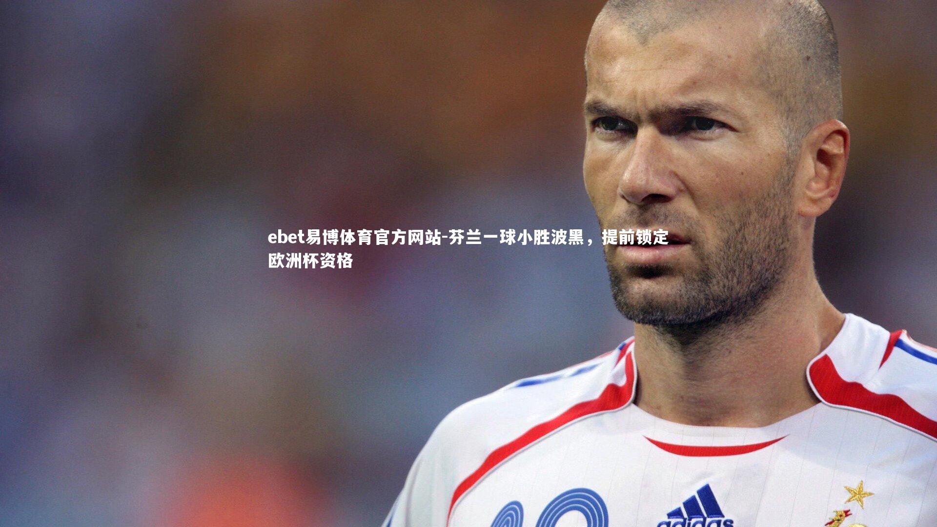 芬兰一球小胜波黑，提前锁定欧洲杯资格