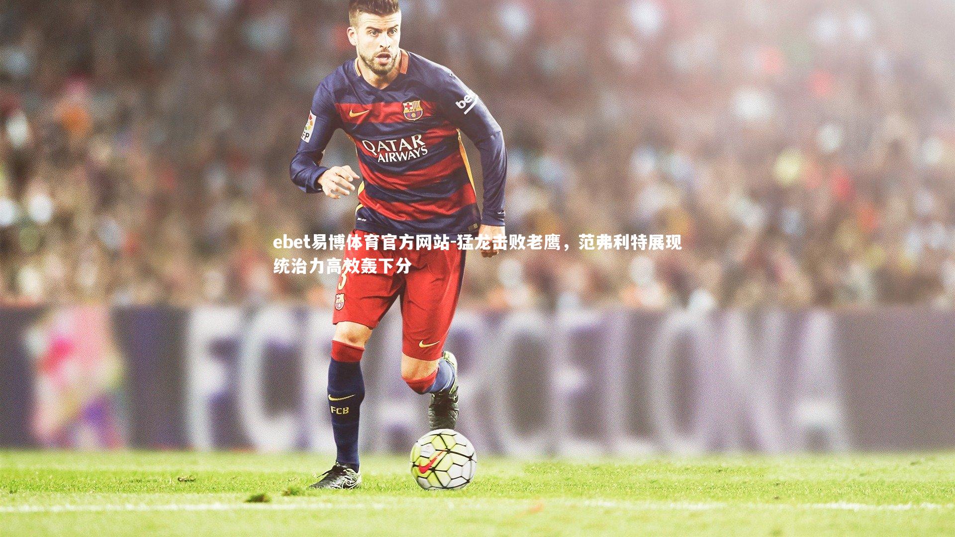 猛龙击败老鹰，范弗利特展现统治力高效轰下分