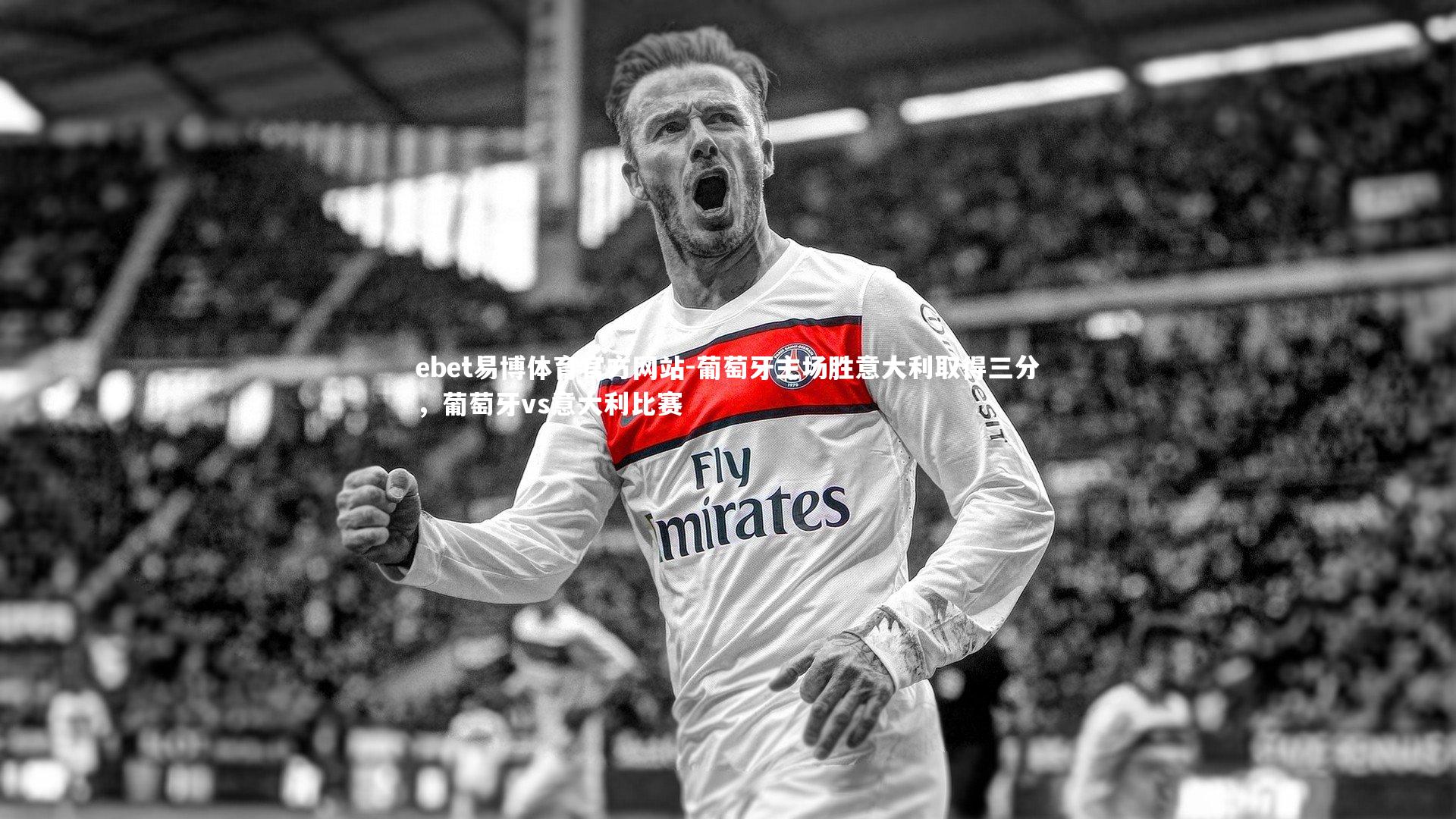 葡萄牙主场胜意大利取得三分,葡萄牙vs意大利比赛
