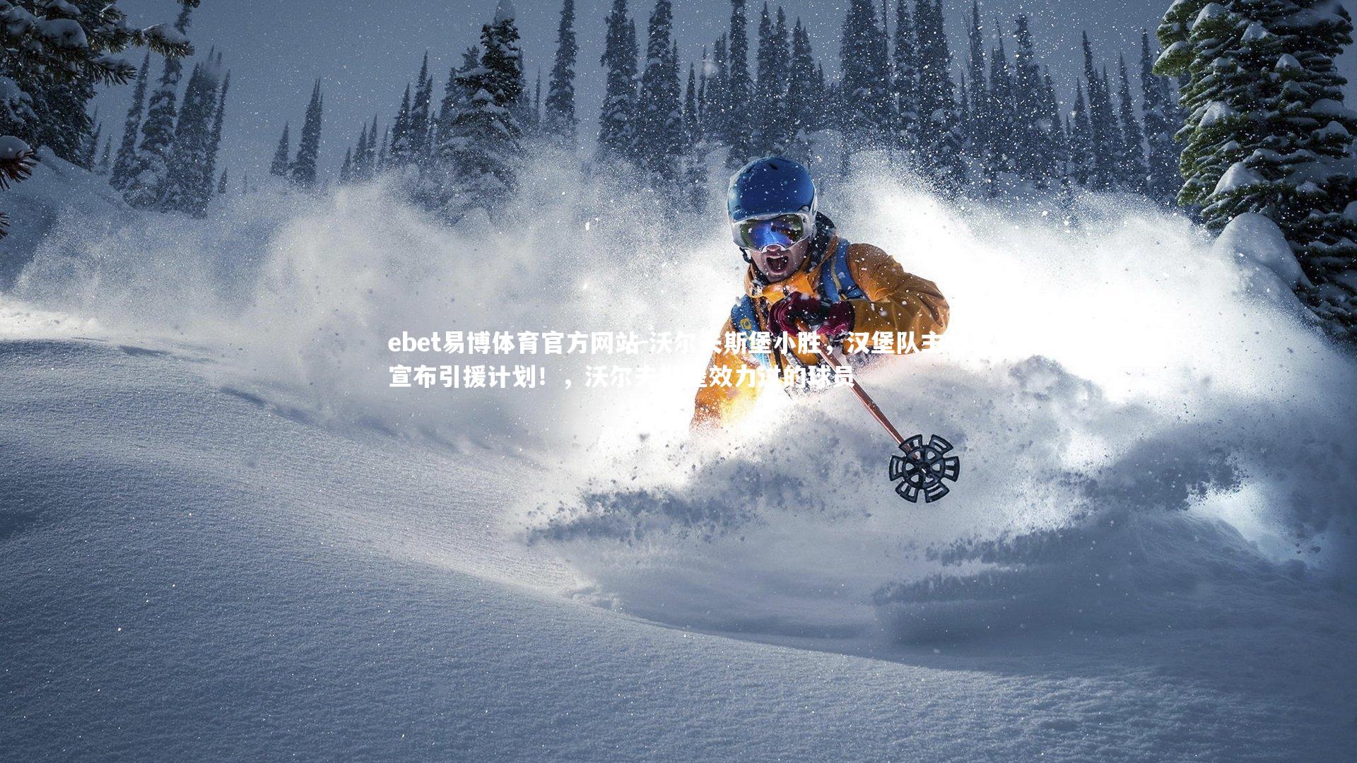 沃尔夫斯堡小胜，汉堡队主帅宣布引援计划！，沃尔夫斯堡效力过的球员