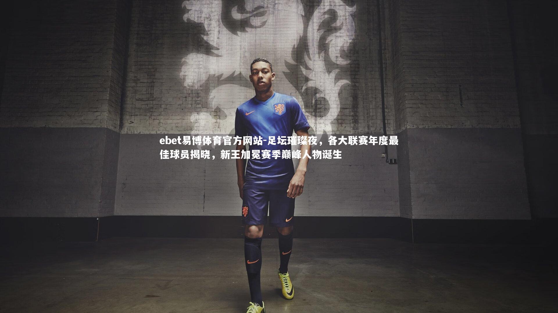 足坛璀璨夜,各大联赛年度最佳球员揭晓,新王加冕赛季巅峰人物诞生